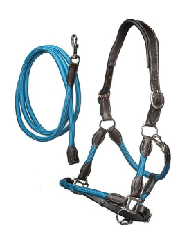 Anatomisch geformtes Halfter mit Führstrick in pacific